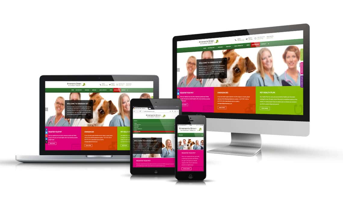 Emerson Vet website designed and built by Mediatopia