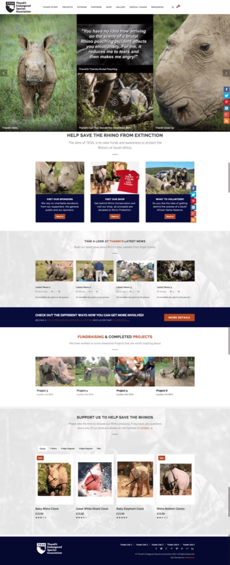 TESA website designed and built by Mediatopia