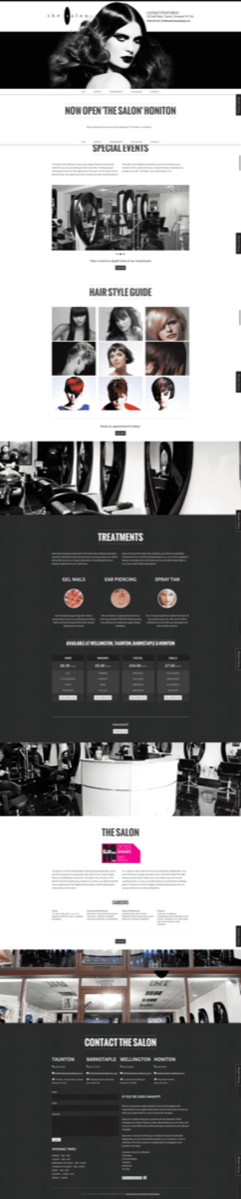 The Salon website designed and built by Mediatopia