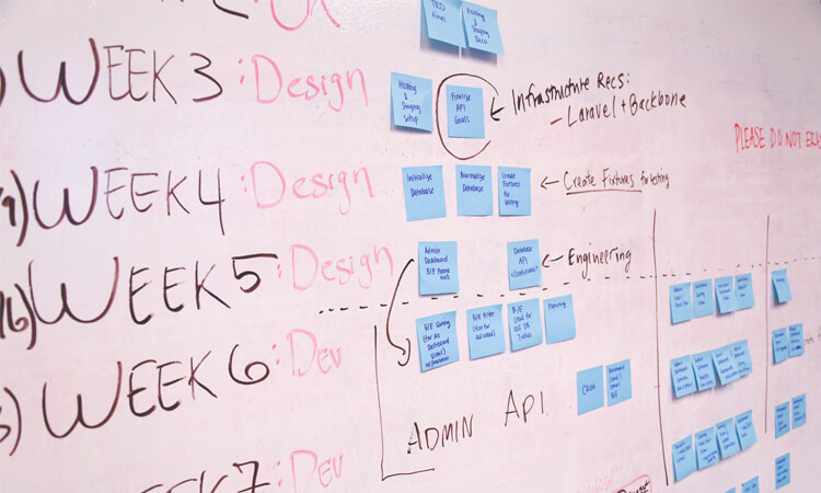 A detailed article explaining the web design and development process